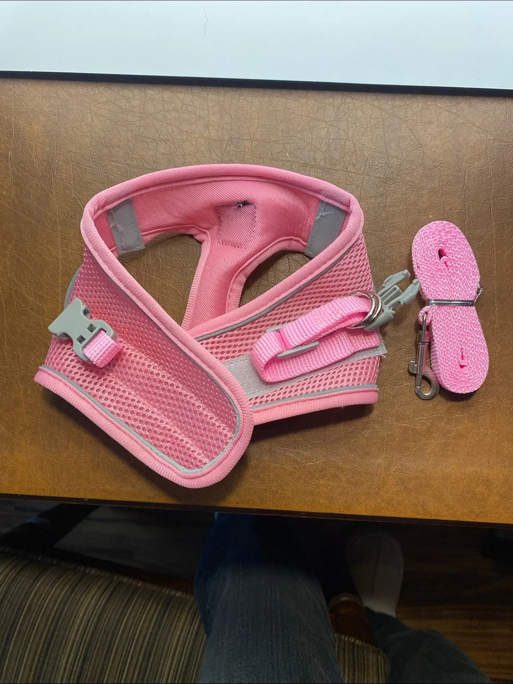 Pink Dog Harness with Matching Leash - Breathable Mesh